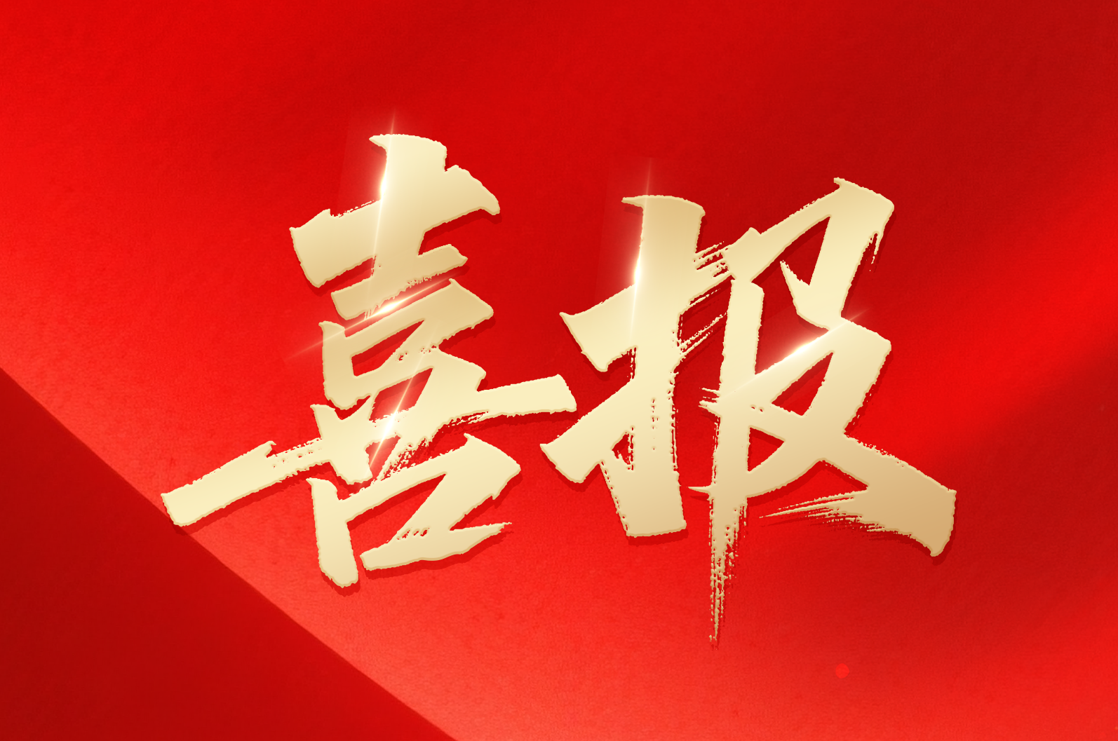 c7c7娱乐平台在线｜喜报！公司荣获2024年拼搏奋进·衢州市长特殊奖市政府质量奖